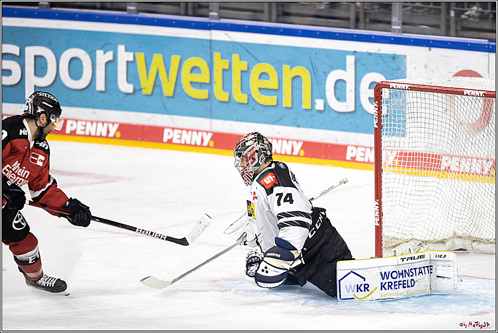 PENNY DEL;  Koelner Haie - Krefeld Pinguine; Koeln, 31.10.2021